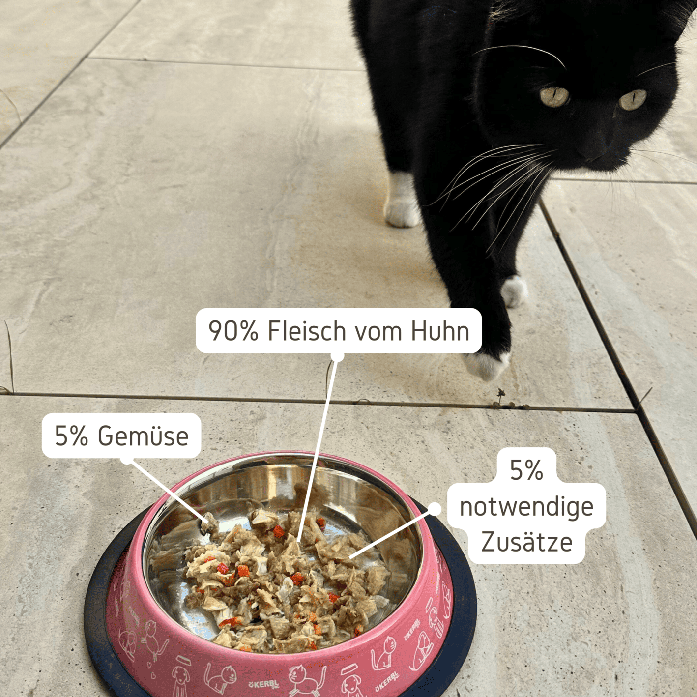 Instant Catfood in einem Napf mit Katze