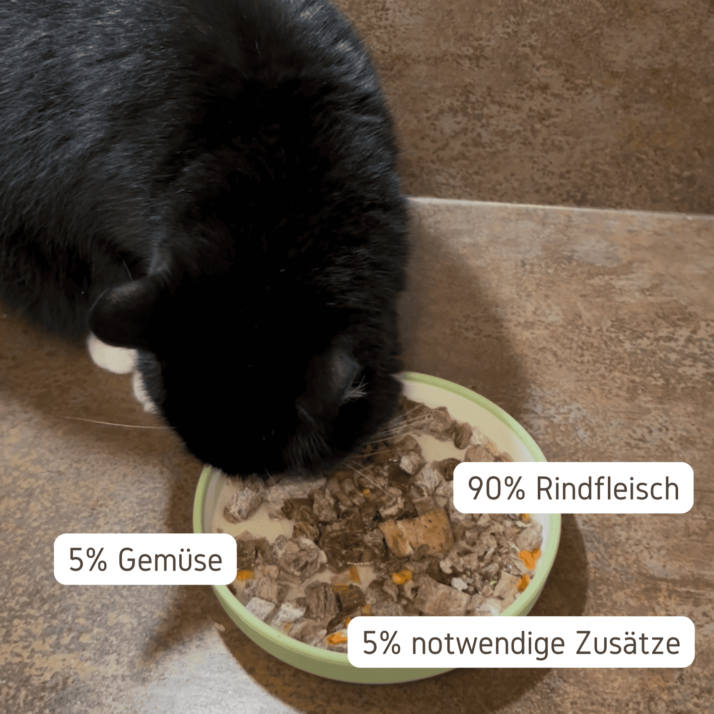 Instant Catfood Rind Katze