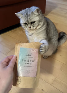 Eine süße Katze will Leckerlis