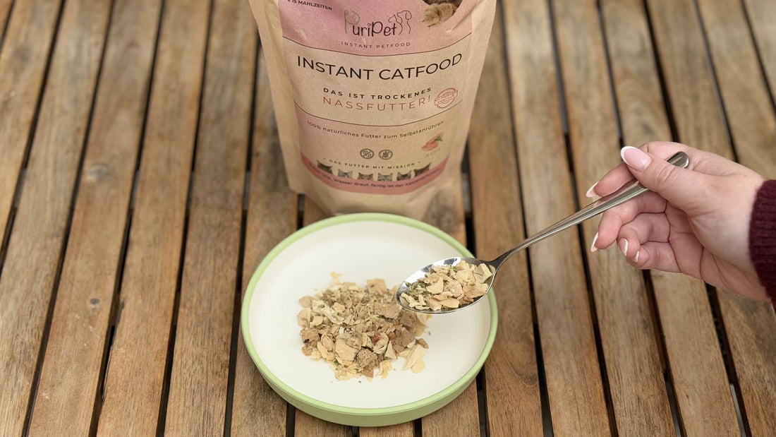 PuriPet Katzenfutter in einem Napf
