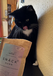 Eine schwarze Katze schleckt ihr Maul wegen Leckerli