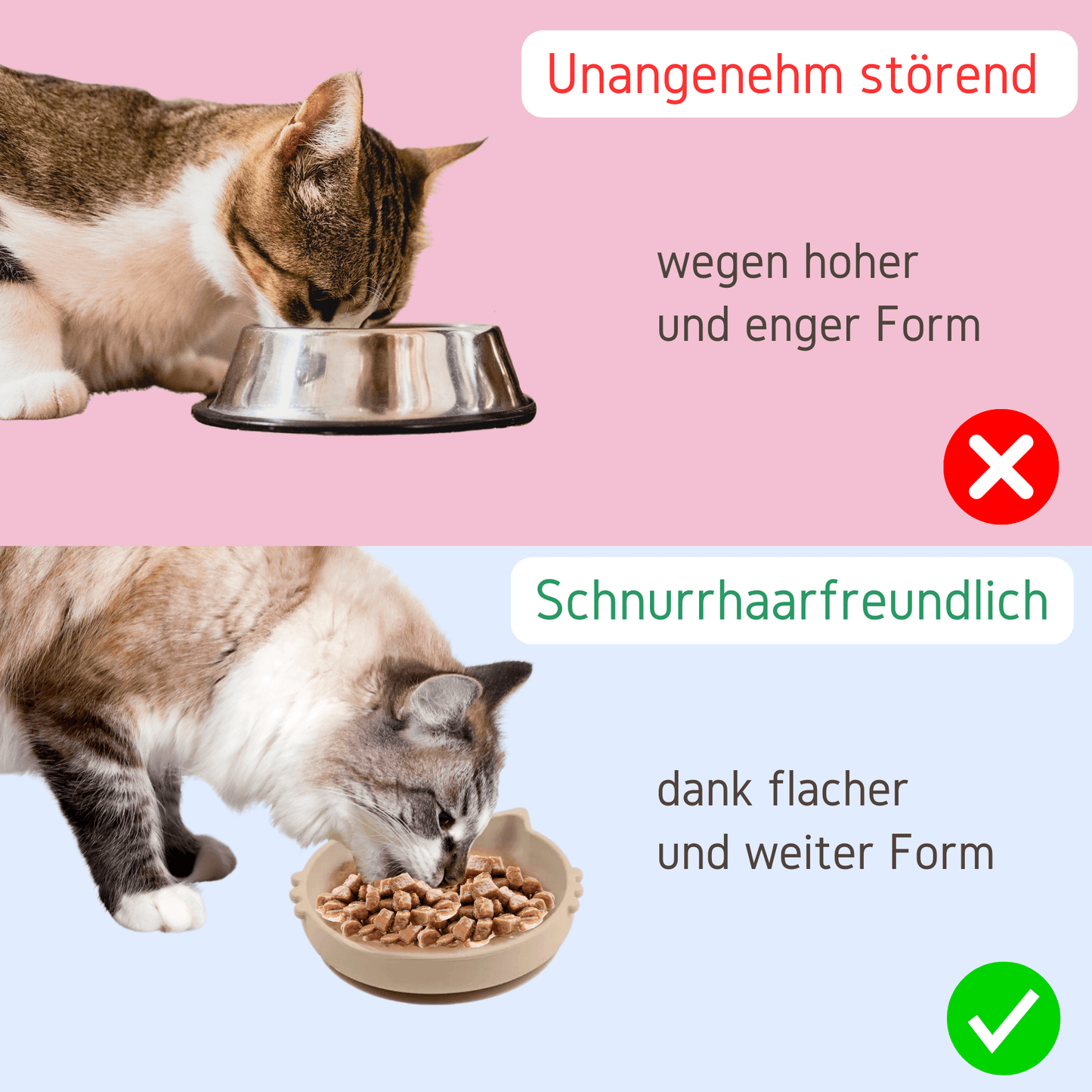 Napf Katze artgerecht