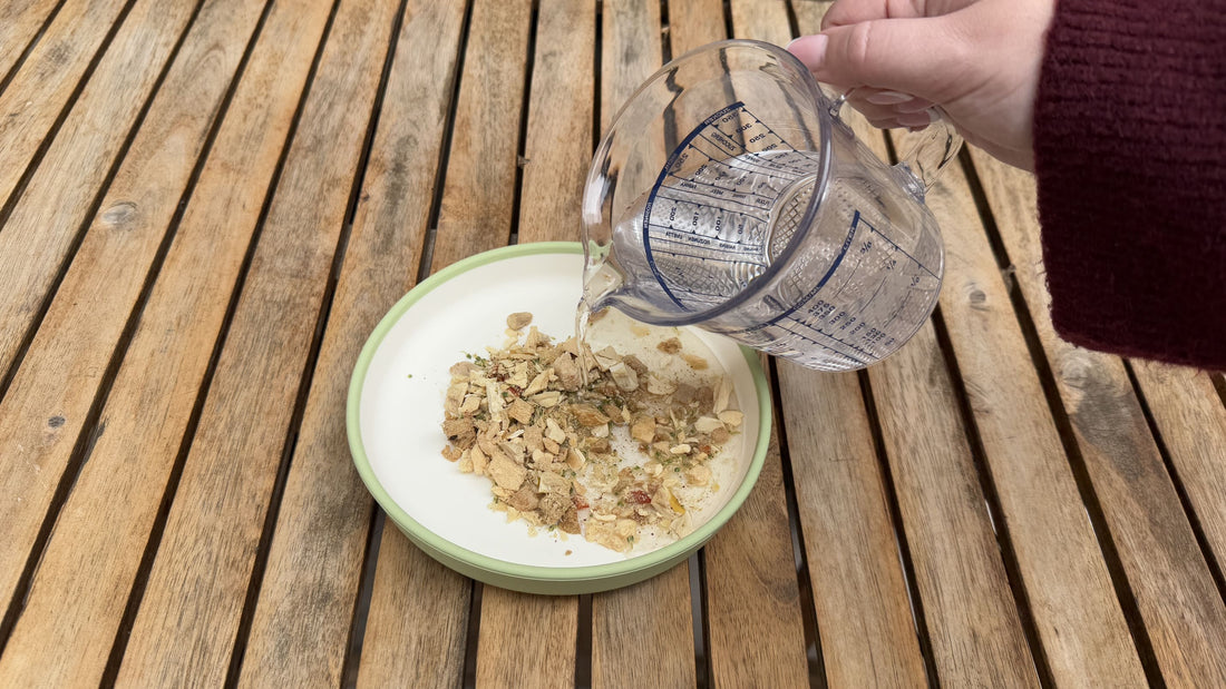 PuriPet Katzenfutter mit Wasser angerührt in einem Napf