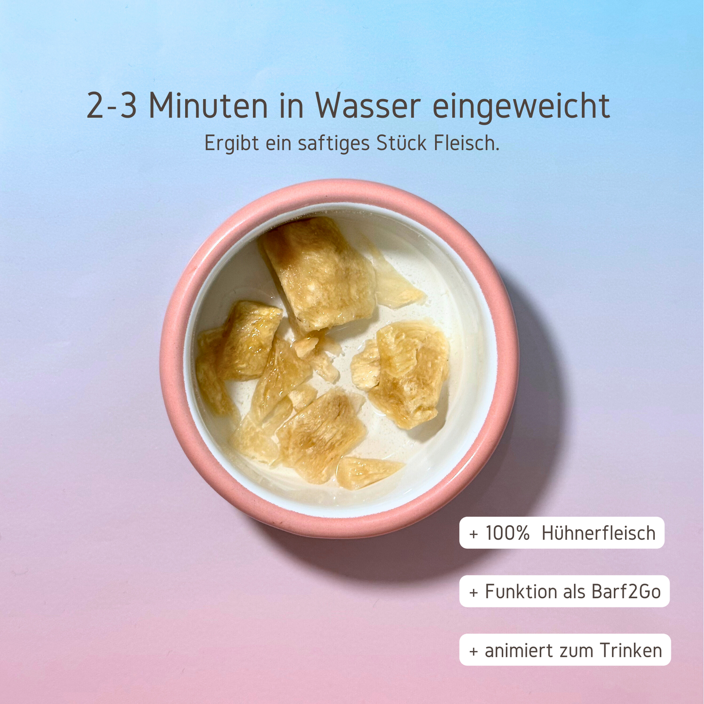 Gefriergetrocknetes Huhn in einem Napf in Wasser eingeweicht.