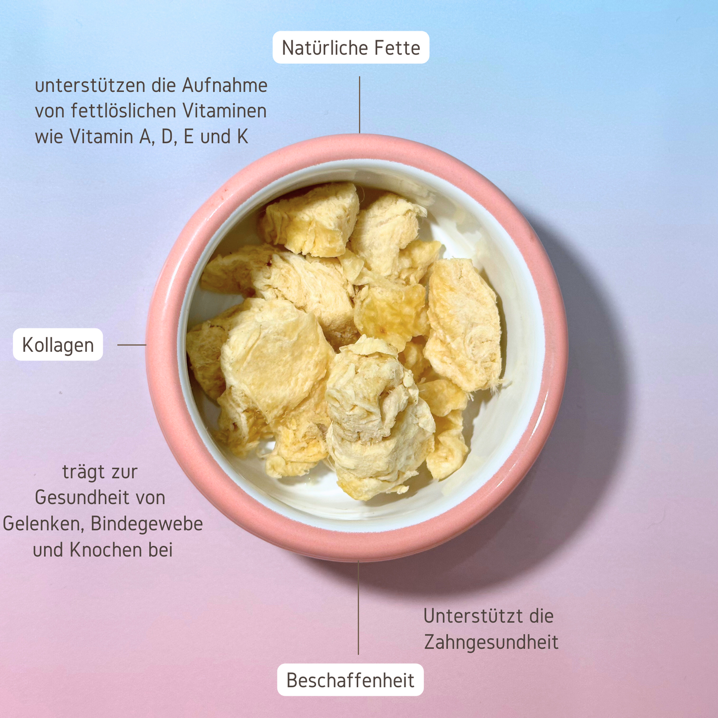 PuriPet Snack Haut-Haps gefriergetrocknete Bruderhahnhaut Vorteile geschrieben um einen rosafarbenen Napf herum.