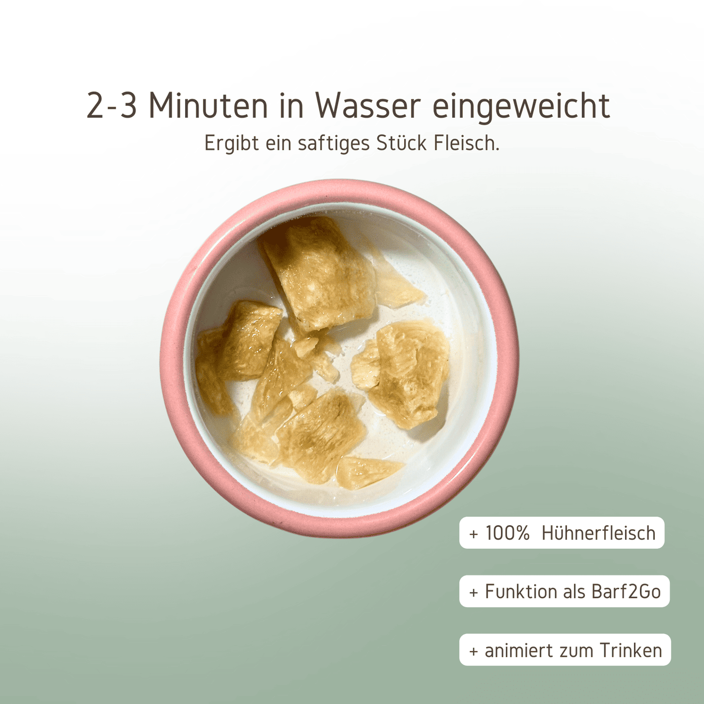 Gefriergetrocknetes Huhn