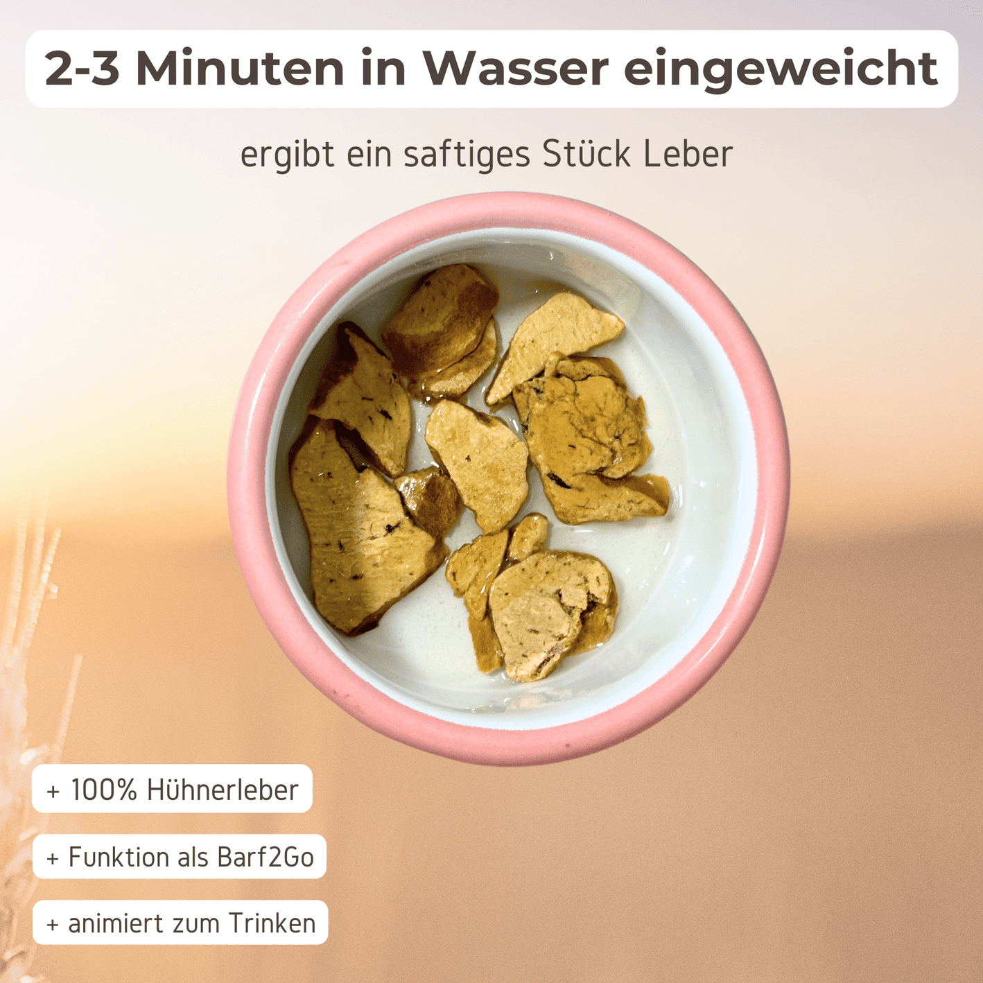 gefriergetrocknete Hühnerleber einweichen