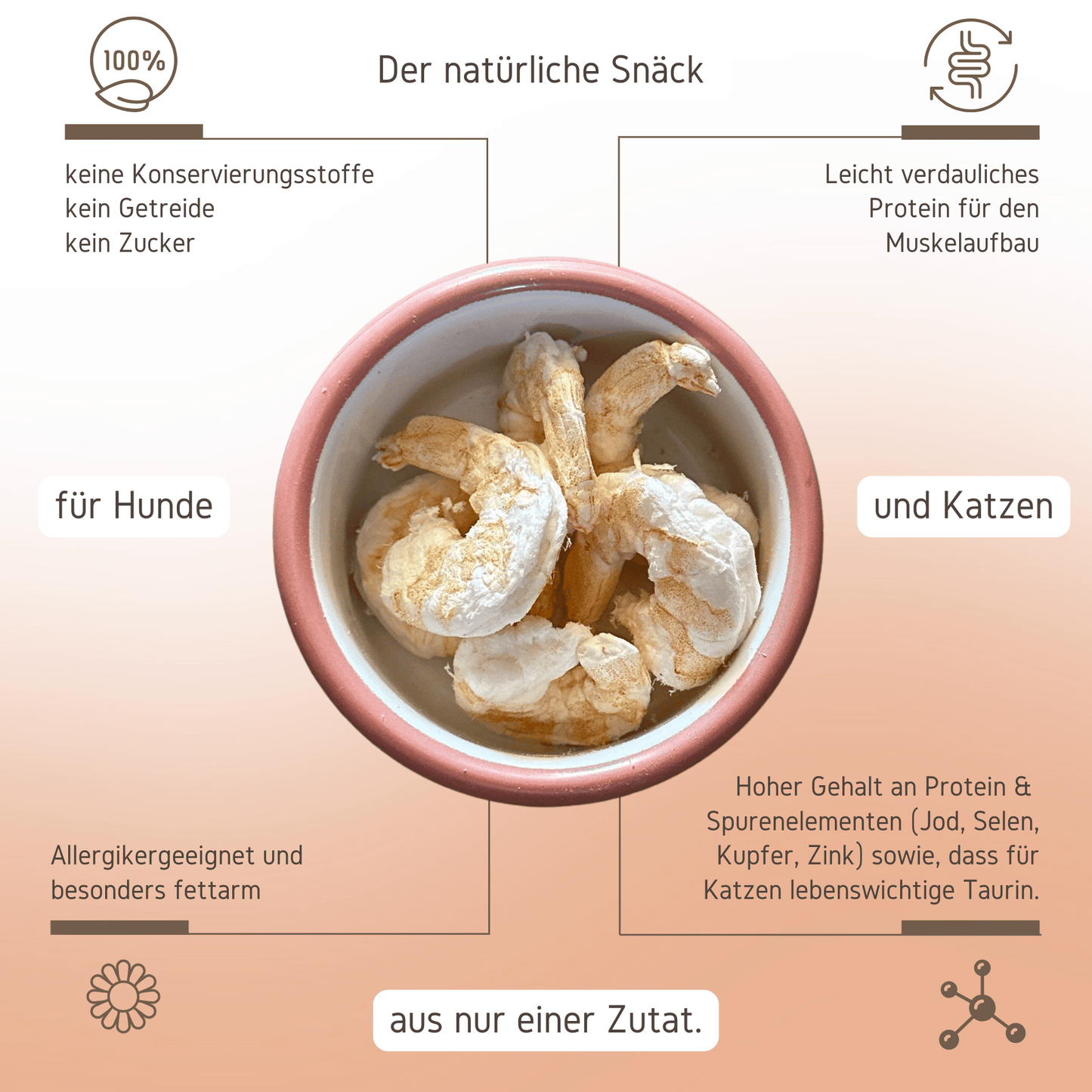 Gefriegetrocknete Garnelen