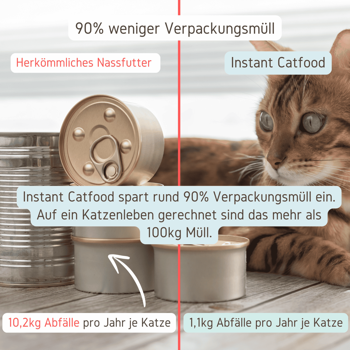 Vergleich normales Katzenfutter und Instant Catfood PuriPet