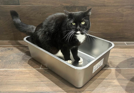 Katzenklo, Edelstahl Katzenklo, Katzentoilette