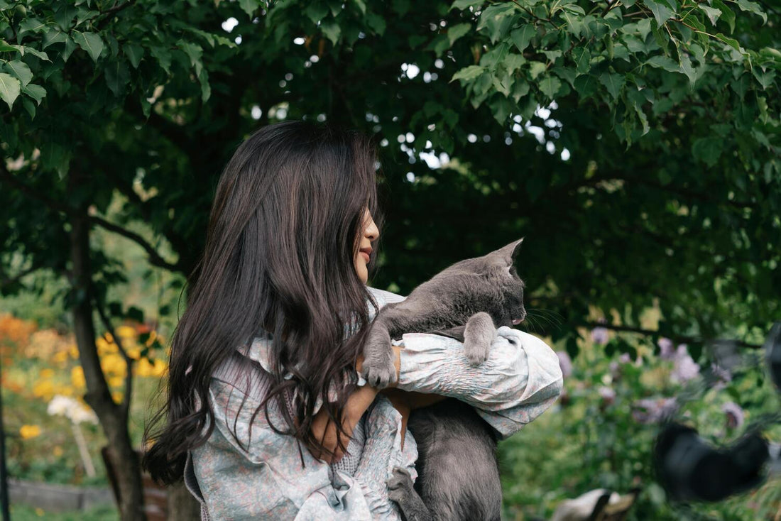 Frau hält graue Katze im Arm