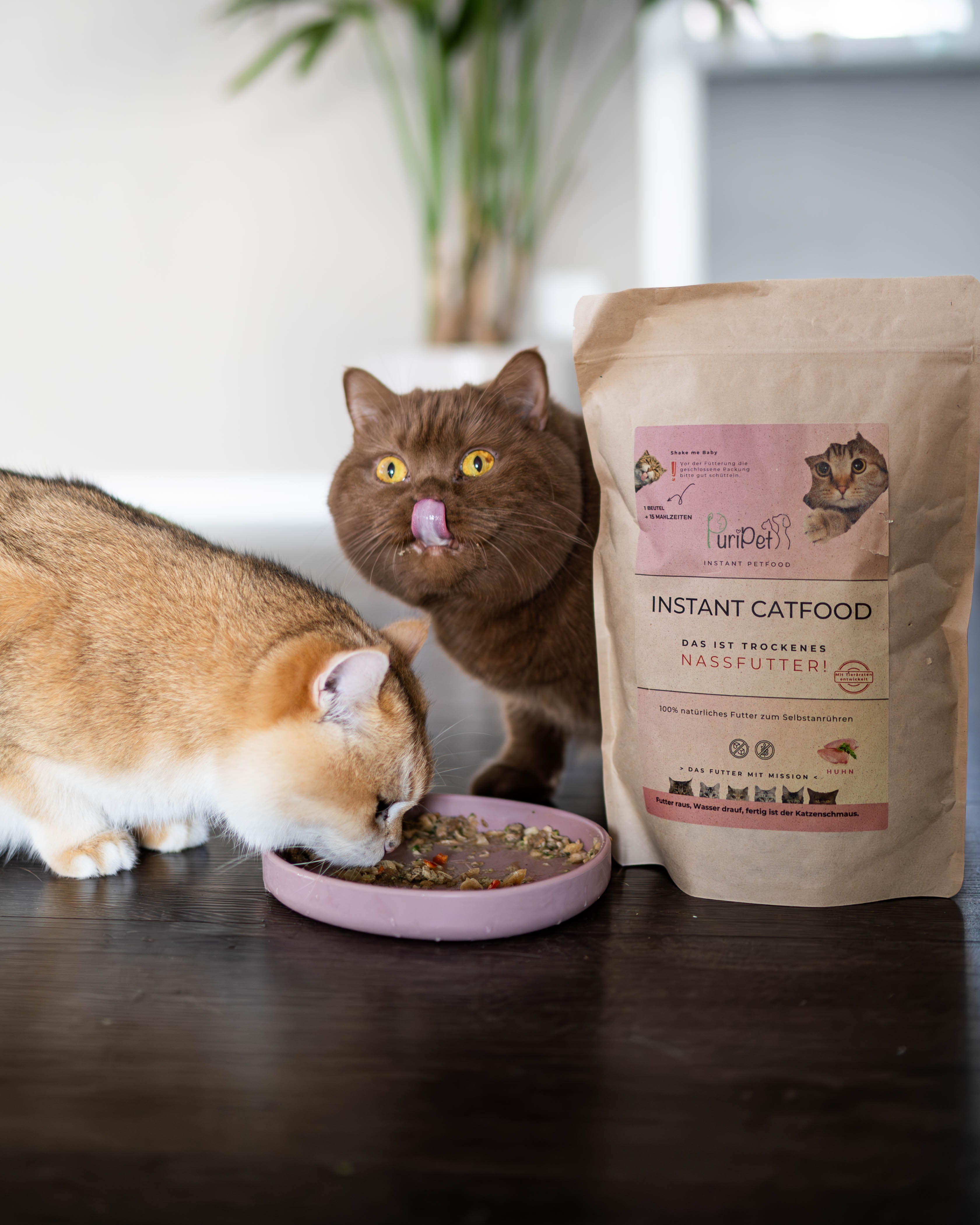 Futter & Snacks