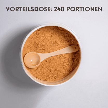 Katzen Supplement Dose Pulver mit Löffel