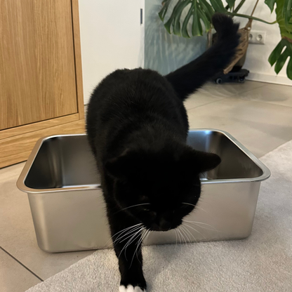 Katzentoilette Edelstahl