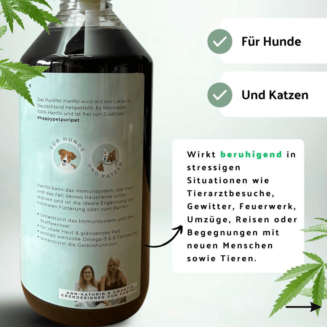 Hanföl von PuriPet für Hunde und Katzen Vorteile