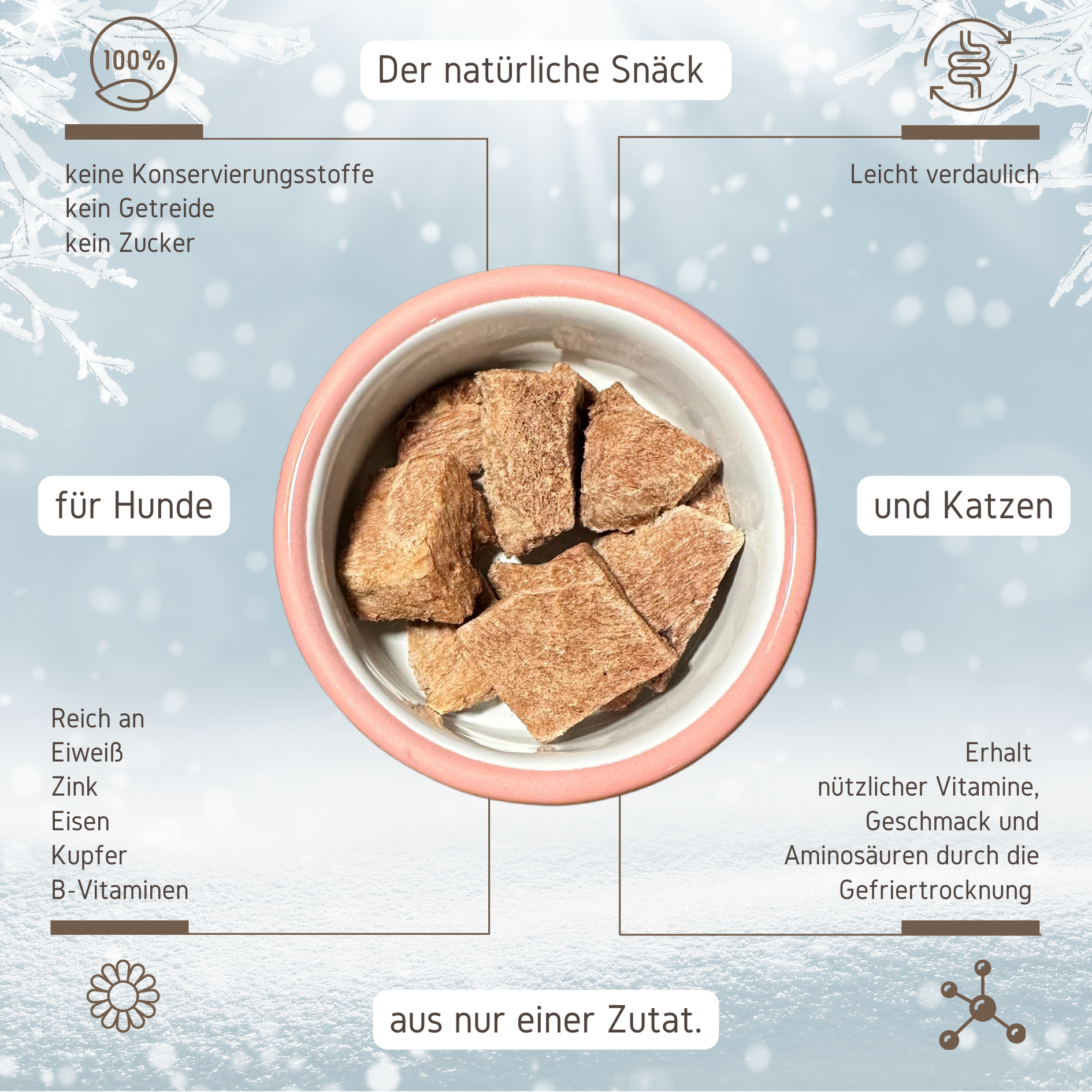 SNÄCK Winter Ente für Hunde und Katzen 