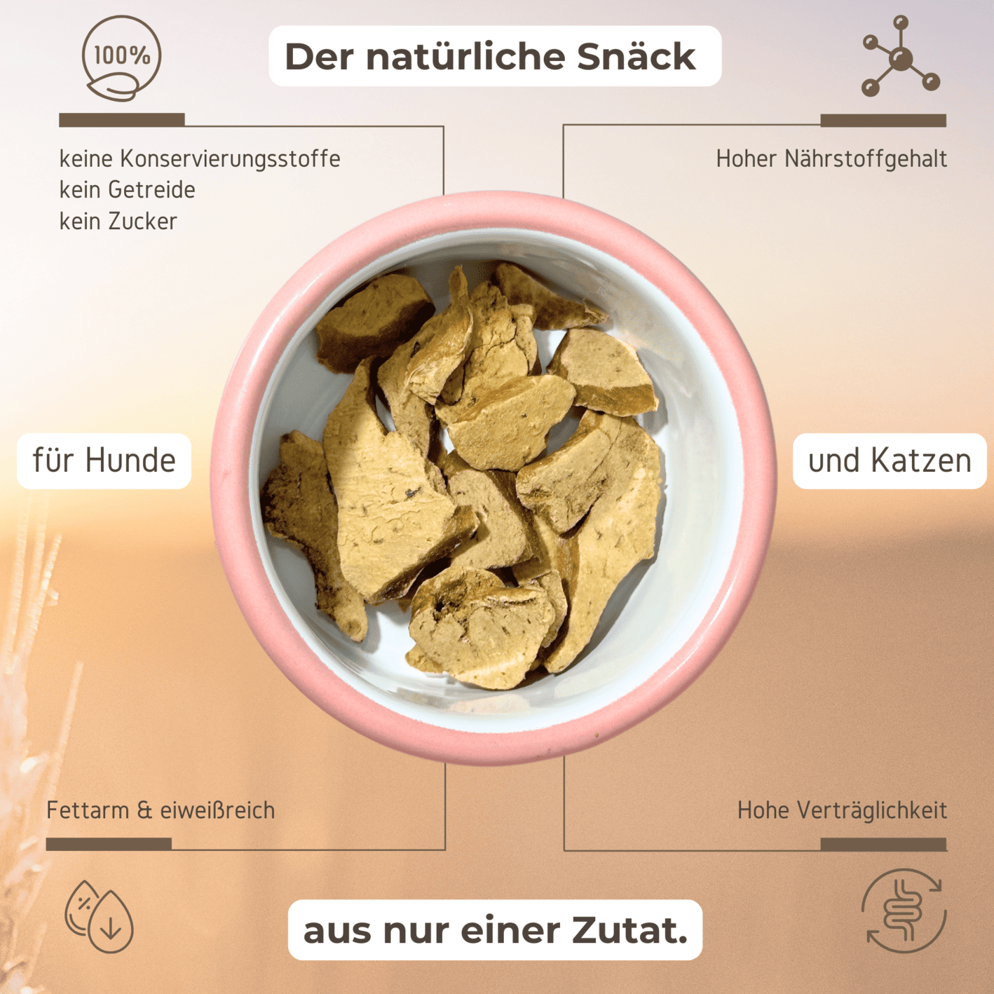 gefriergetrocknete Hühnerleber Vorteile für Hunde und Katzen