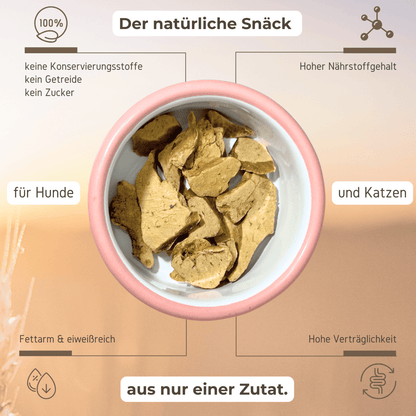gefriergetrocknete Hühnerleber Vorteile für Hunde und Katzen