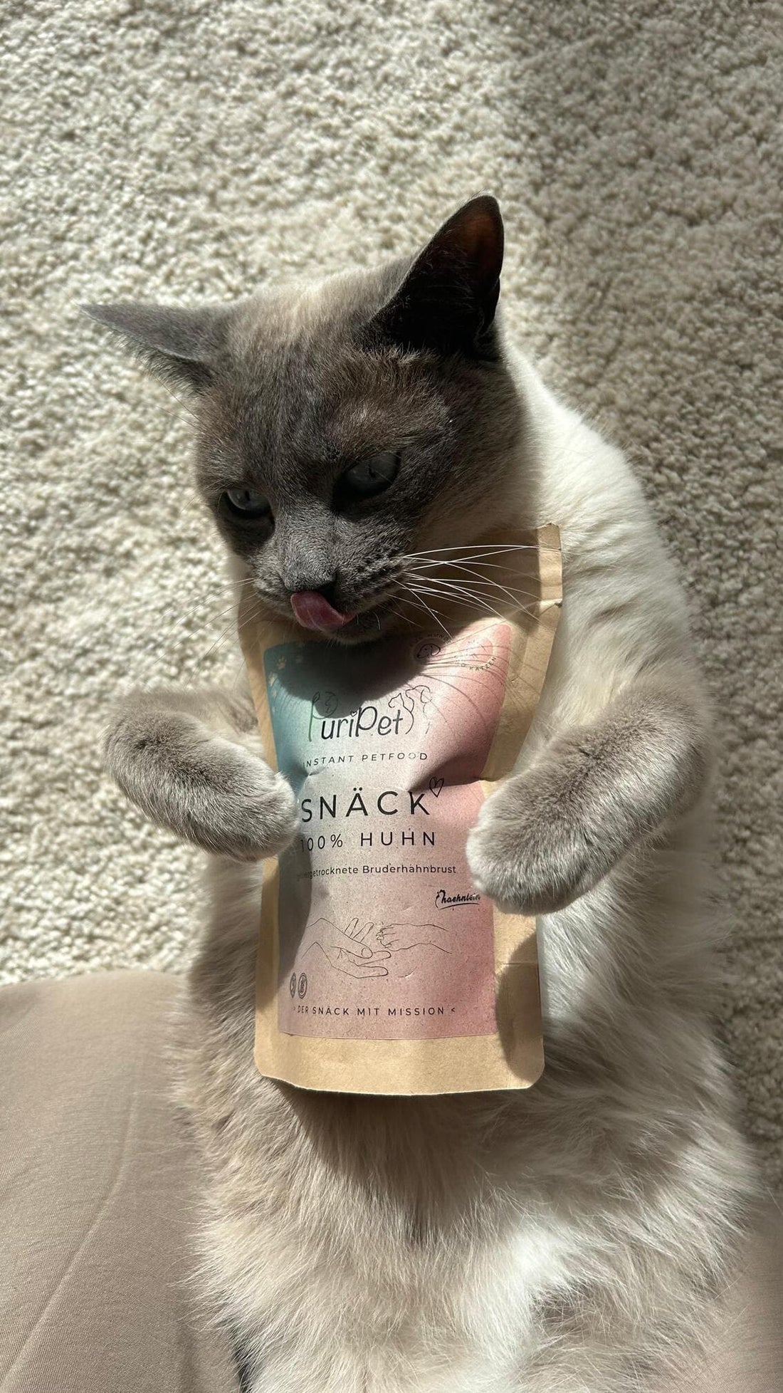 Siamkatze mit PuriPet Snacks