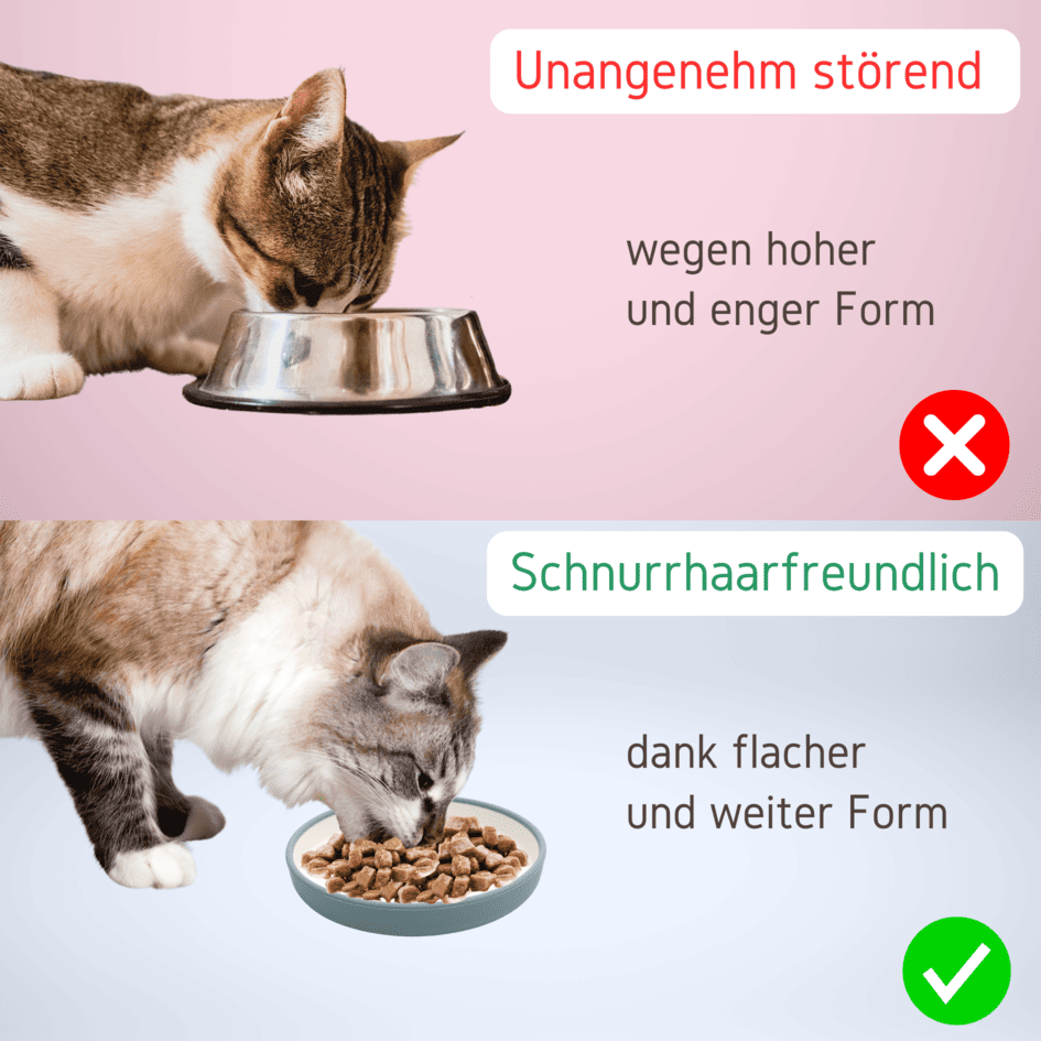 Silikon Napf Katze blau Vergleich 